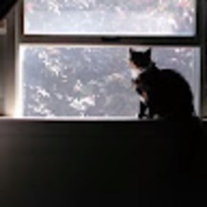 Meet your Posher, Camille